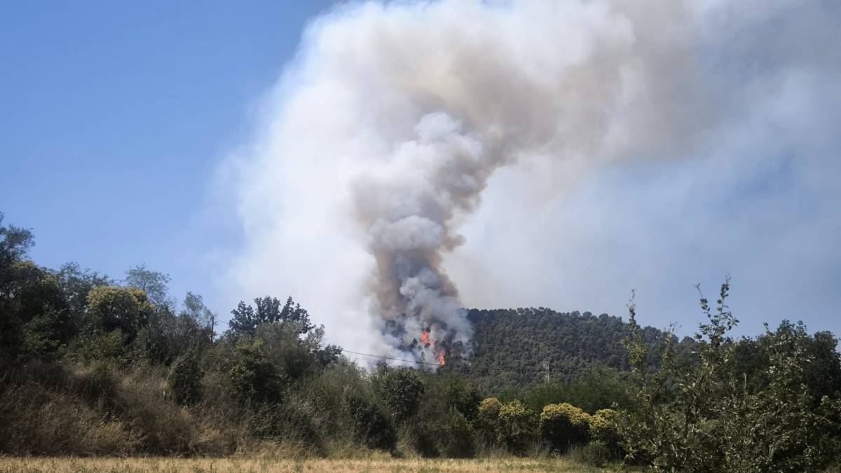 Incendi forestal a Sentmenat - Cedida