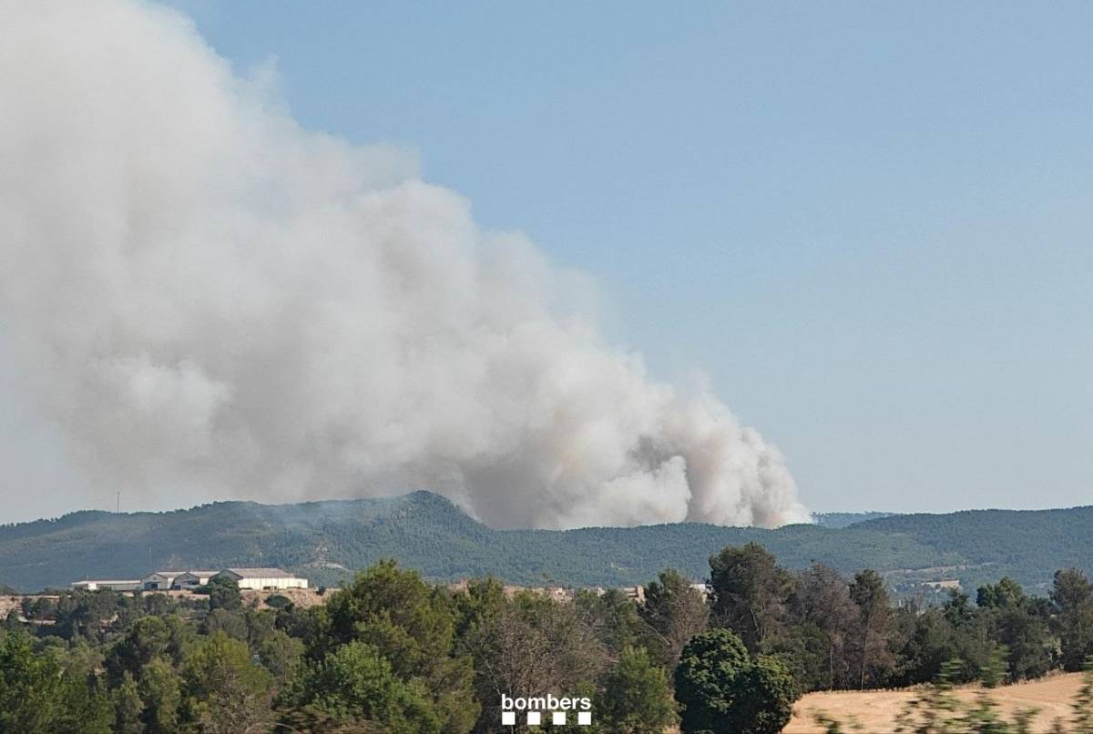 Els Bombers treballen en un foc de vegetació entre Carme i la Pobla de Claramunt