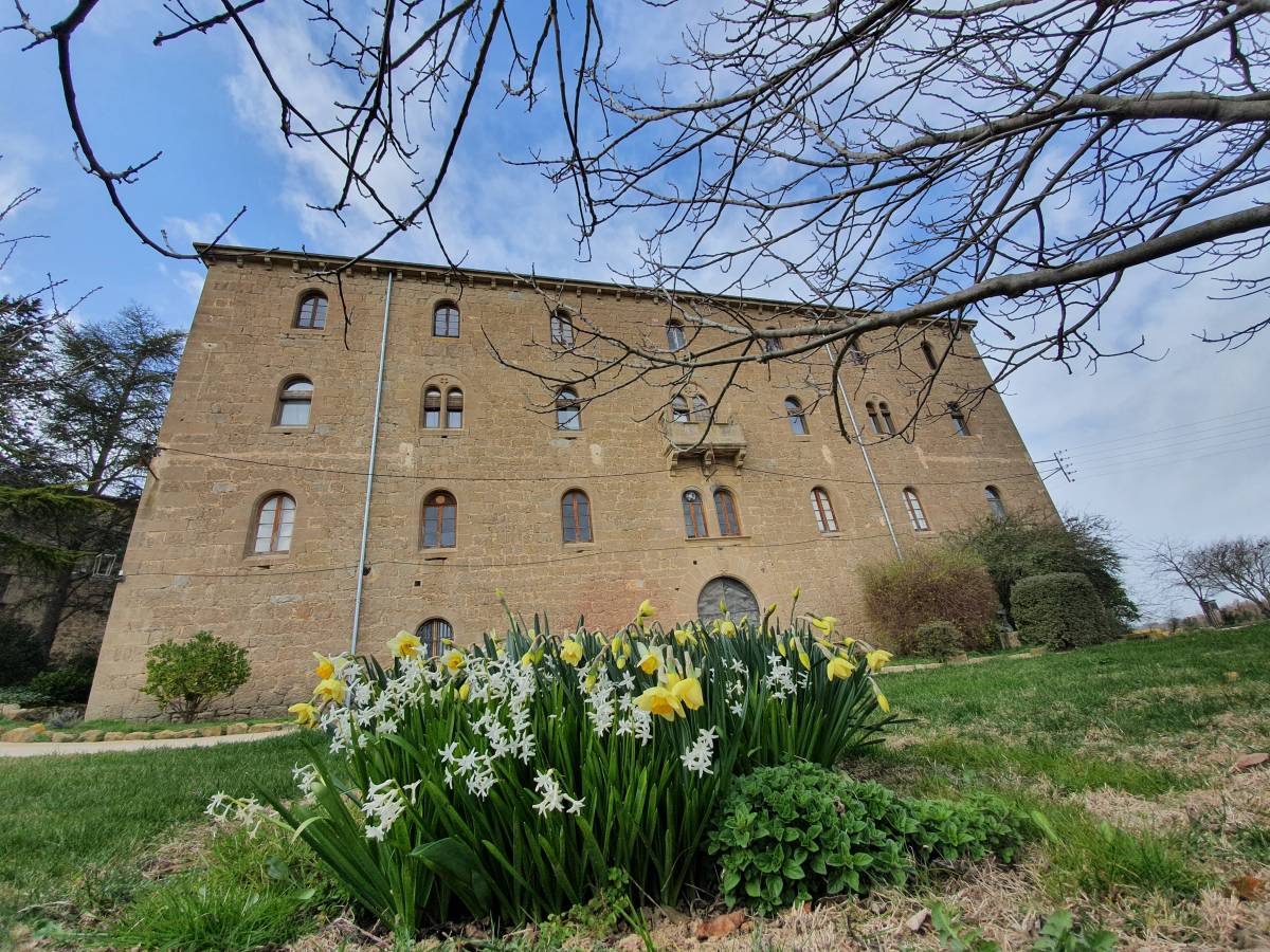 Celler del Miracle  - 