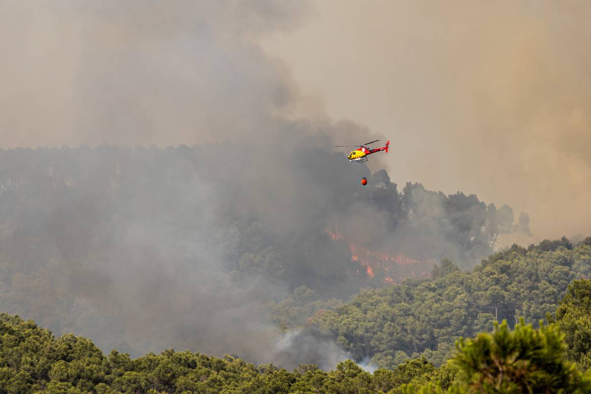 L'onada d'incendis simultanis a Catalunya, en imatges