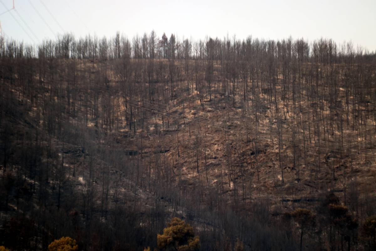 Els Bombers estabilitzen l'incendi de l'Anoia mentre continuen treballant intensament a Sentmenat