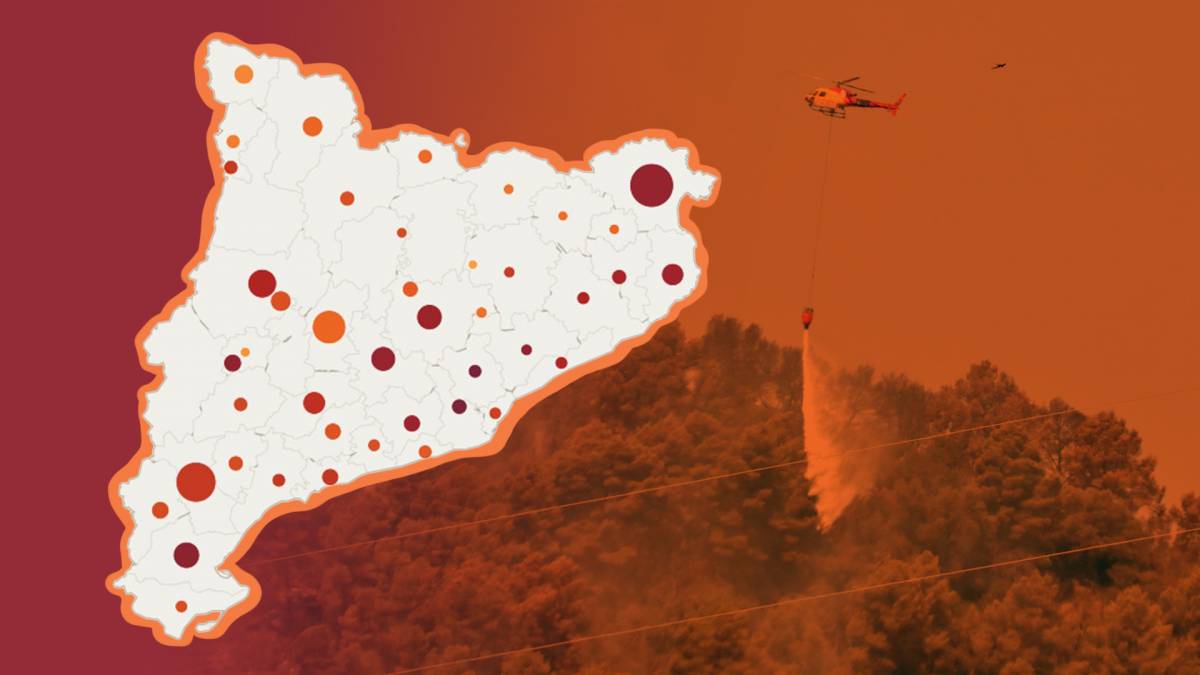Catalunya encadena els dos pitjors anys d'incendis en dues dècades