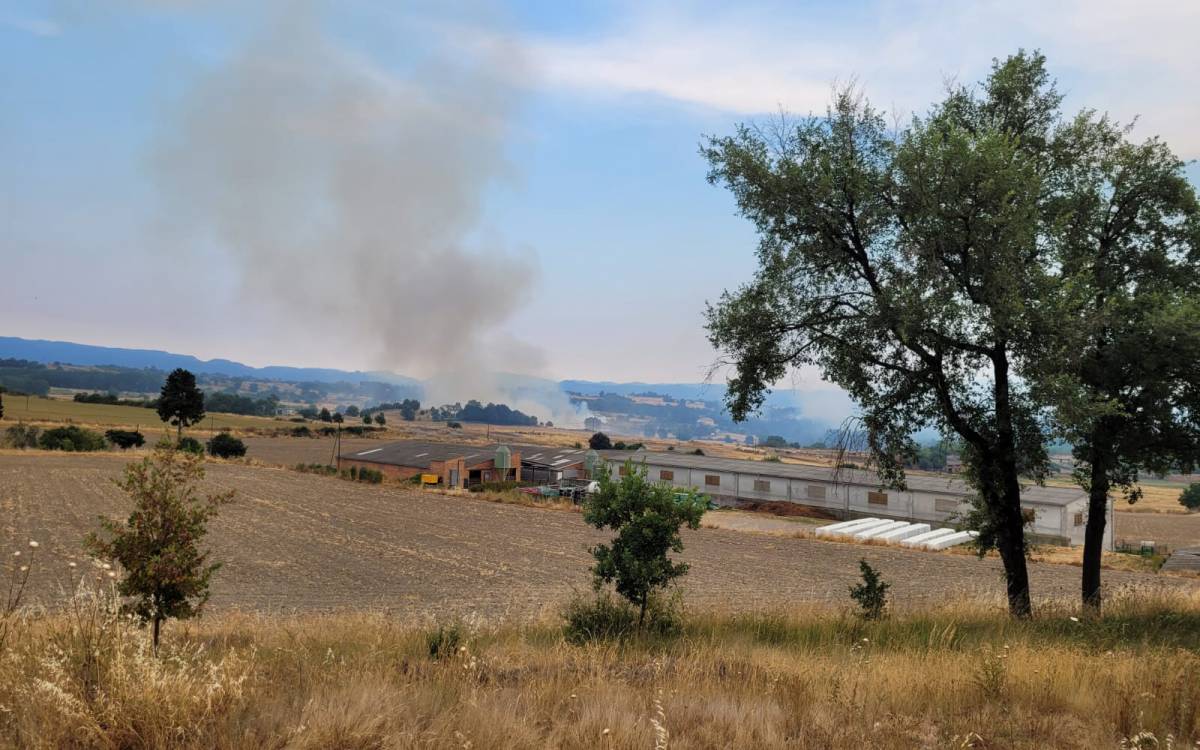 Tres incendis de vegetació forestal cremen a Torelló