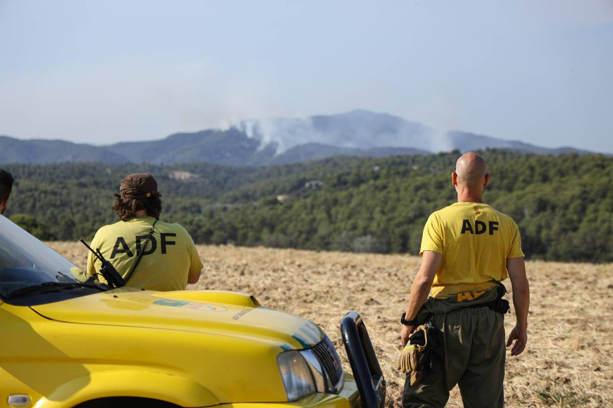 Els ADF treballant durant la campanya d`estiu - Víctor Castillo Els ADF treballant durant la campanya d`estiu
