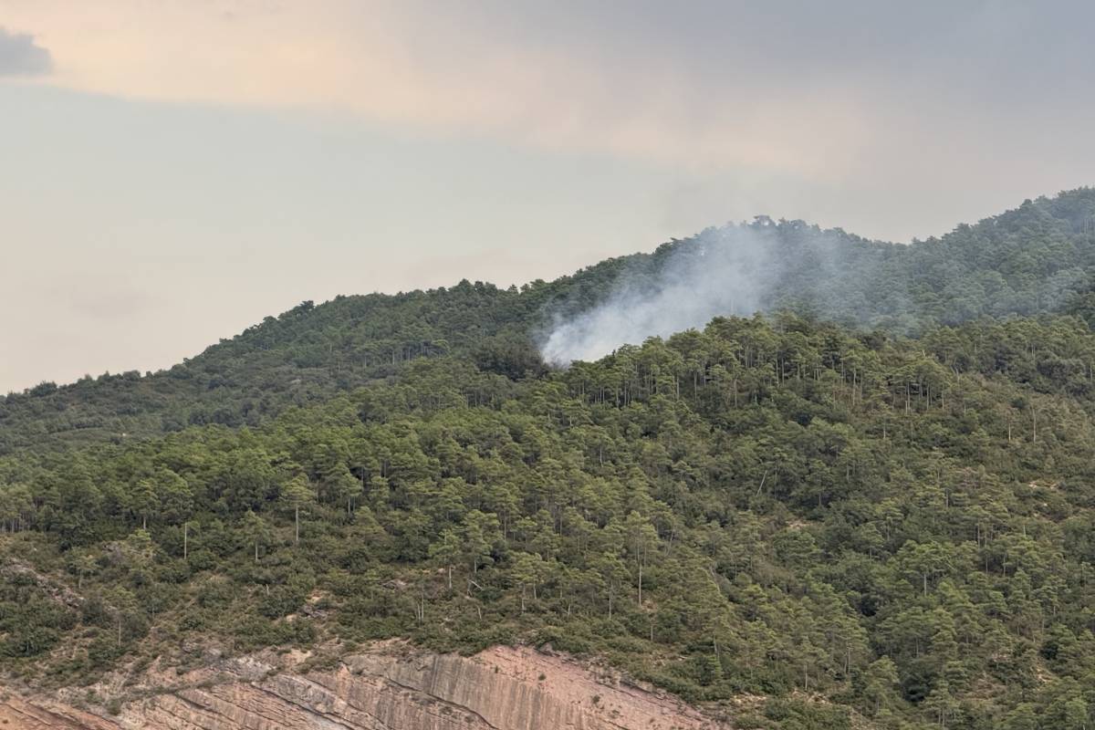 Estabilitzat l'incendi causat per un llamp a Oliana
