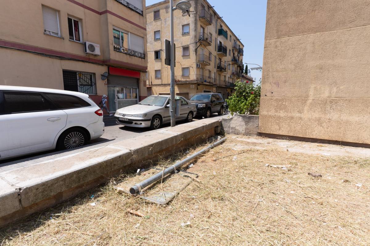 “Les jardineres estan brutes i molt deixades”