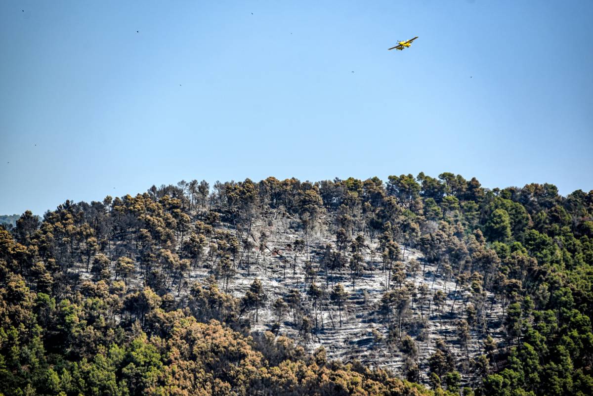 Els Bombers preveuen tenir estabilitzat l'incendi de Sentmenat aquest vespre