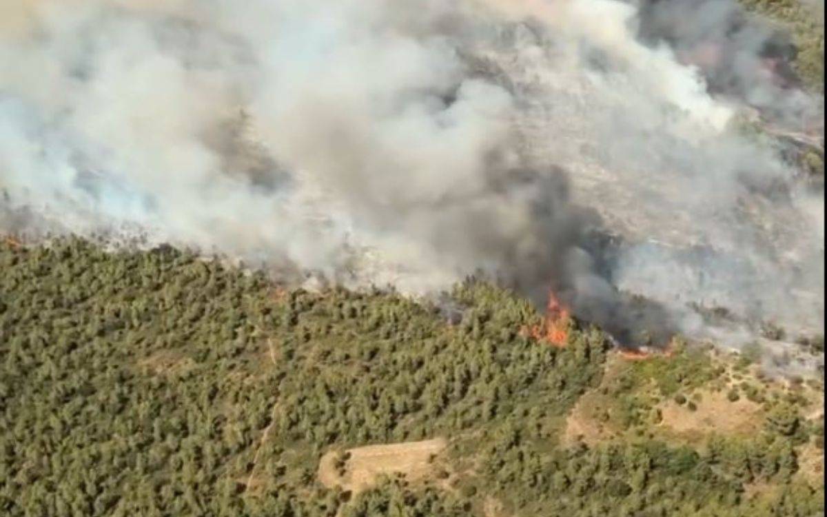 Es declara un incendi forestal al Pla de Manlleu, a la comarca de l'Alt Camp