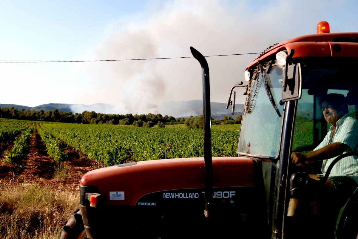 Estabilitzats els cinc incendis que cremen a Catalunya