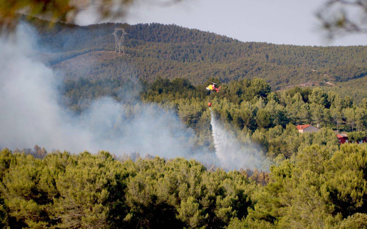 Els Bombers treballen sobre el terreny per controlar l'incendi de Pla de Manlleu i evitar revifalles