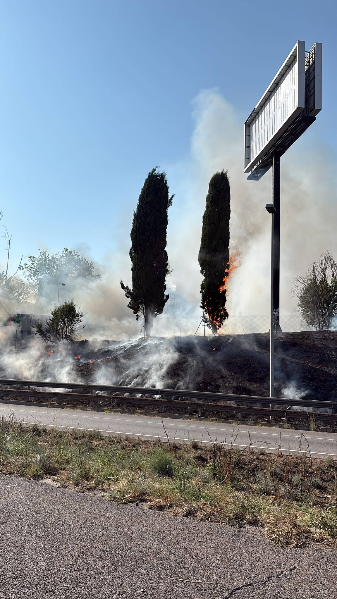 Incendi de vegetació a la B-30 a Badia - Cedida Incendi de vegetació a la B-30 a Badia
