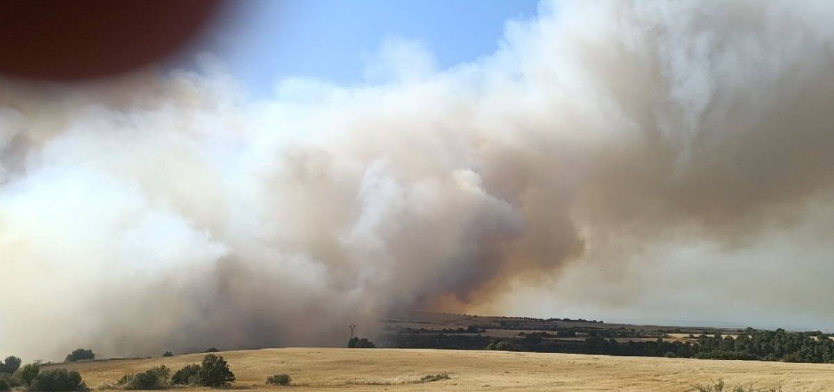 L'incendi de Guimerà torna a estar actiu i obliga a confinar una vila de Montornès de Segarra