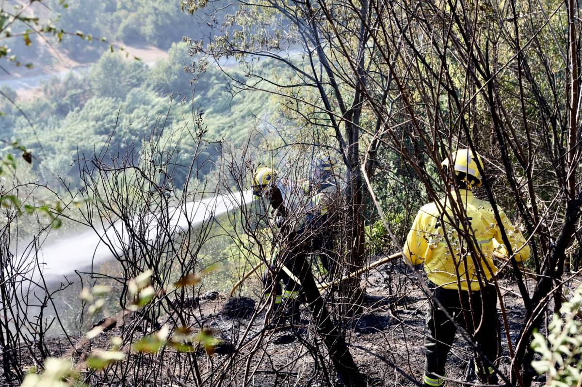 Incendi de vegetació a Can Roqueta - Juanma Peláez Incendi de vegetació a Can Roqueta