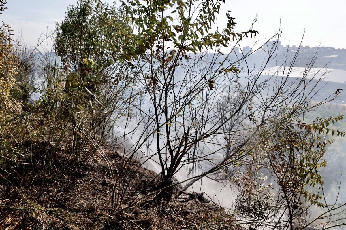 Incendi de vegetació a Can Roqueta - Juanma Peláez Incendi de vegetació a Can Roqueta
