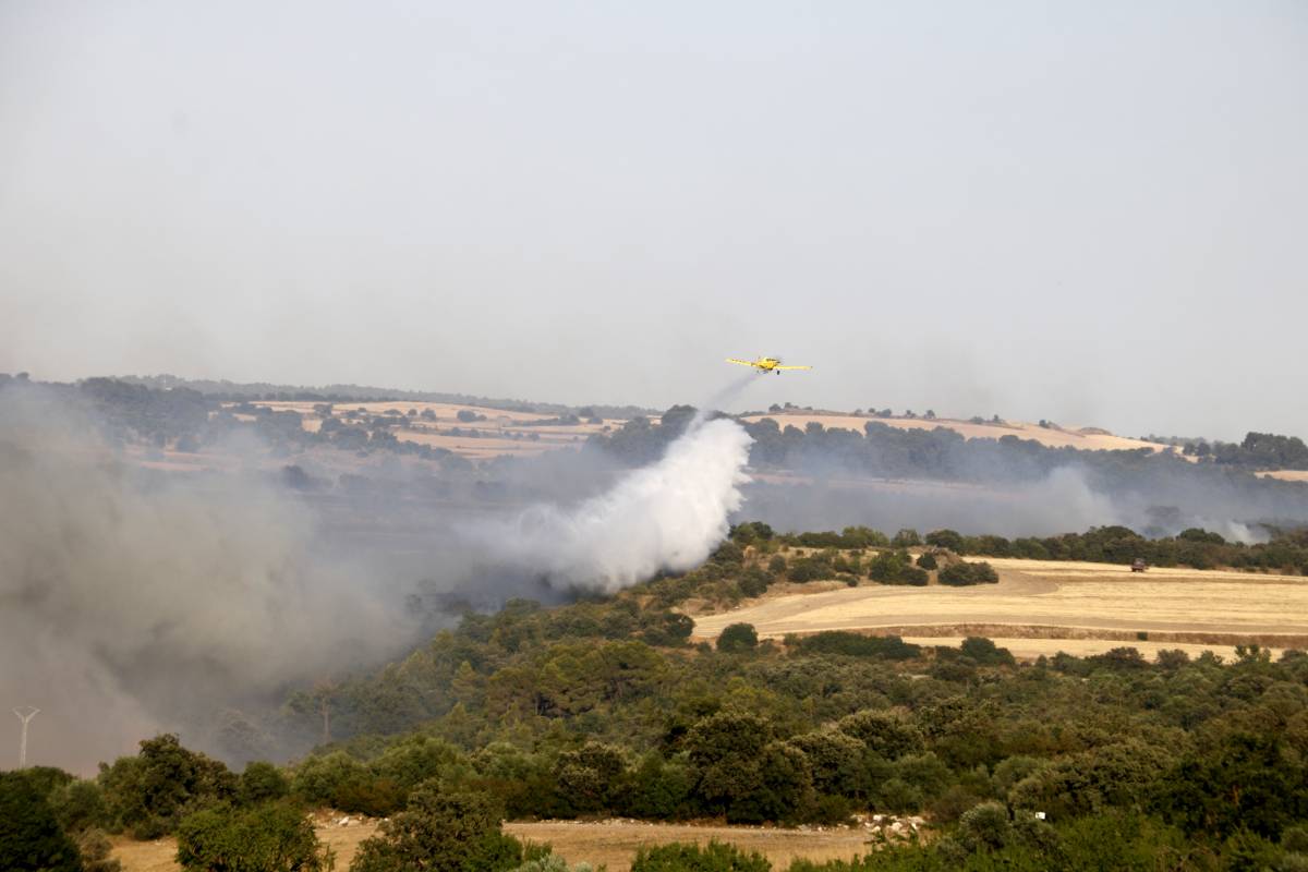 L'incendi de Guimerà revifa amb força i ja supera les 325 hectàrees cremades