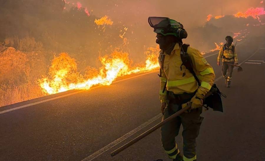Moren 12 persones en un incendi forestal a Almeria