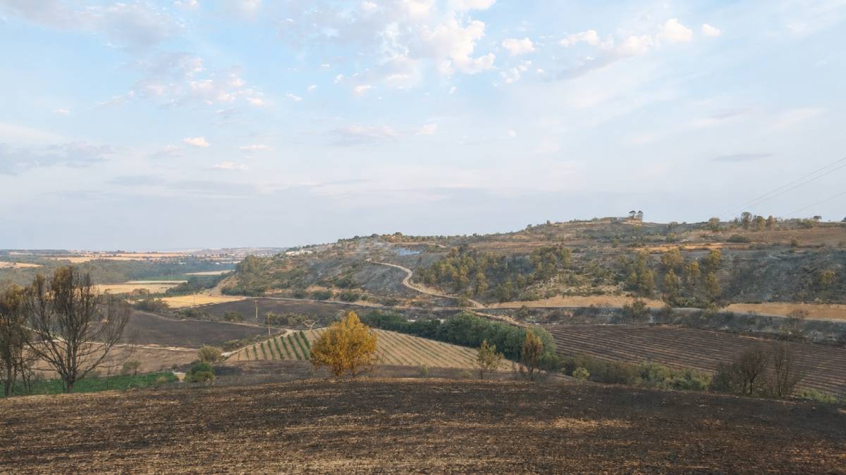 Els Bombers estabilitzen el foc de Guimerà després de la revifada