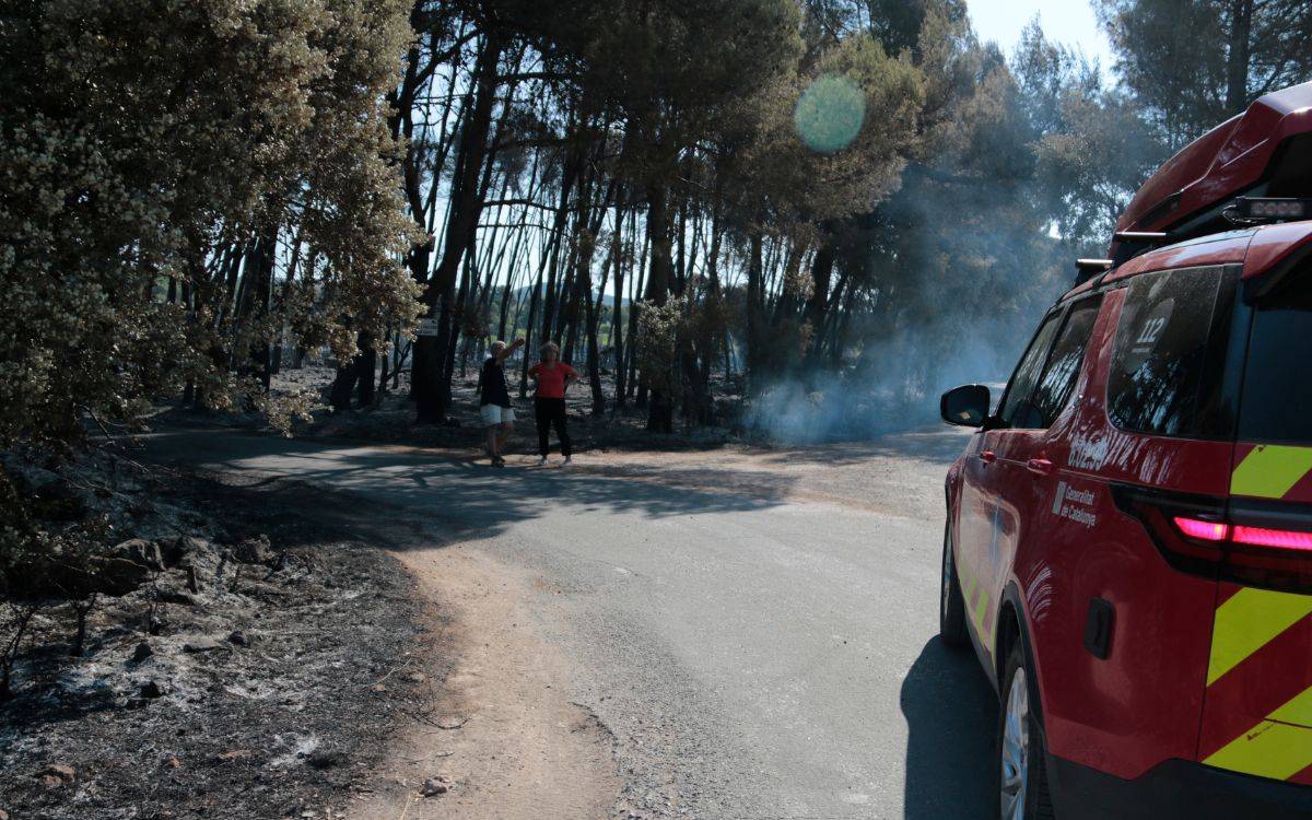 Els Bombers donen per controlat l'incendi forestal del Pla de Manlleu: han cremat 89 hectàrees