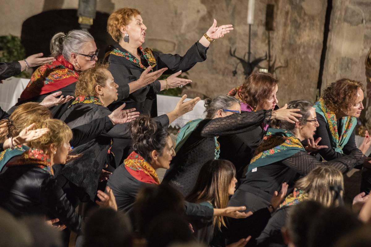 El Fem Estiu agrupa aquest any 168 propostes culturals a Terrassa