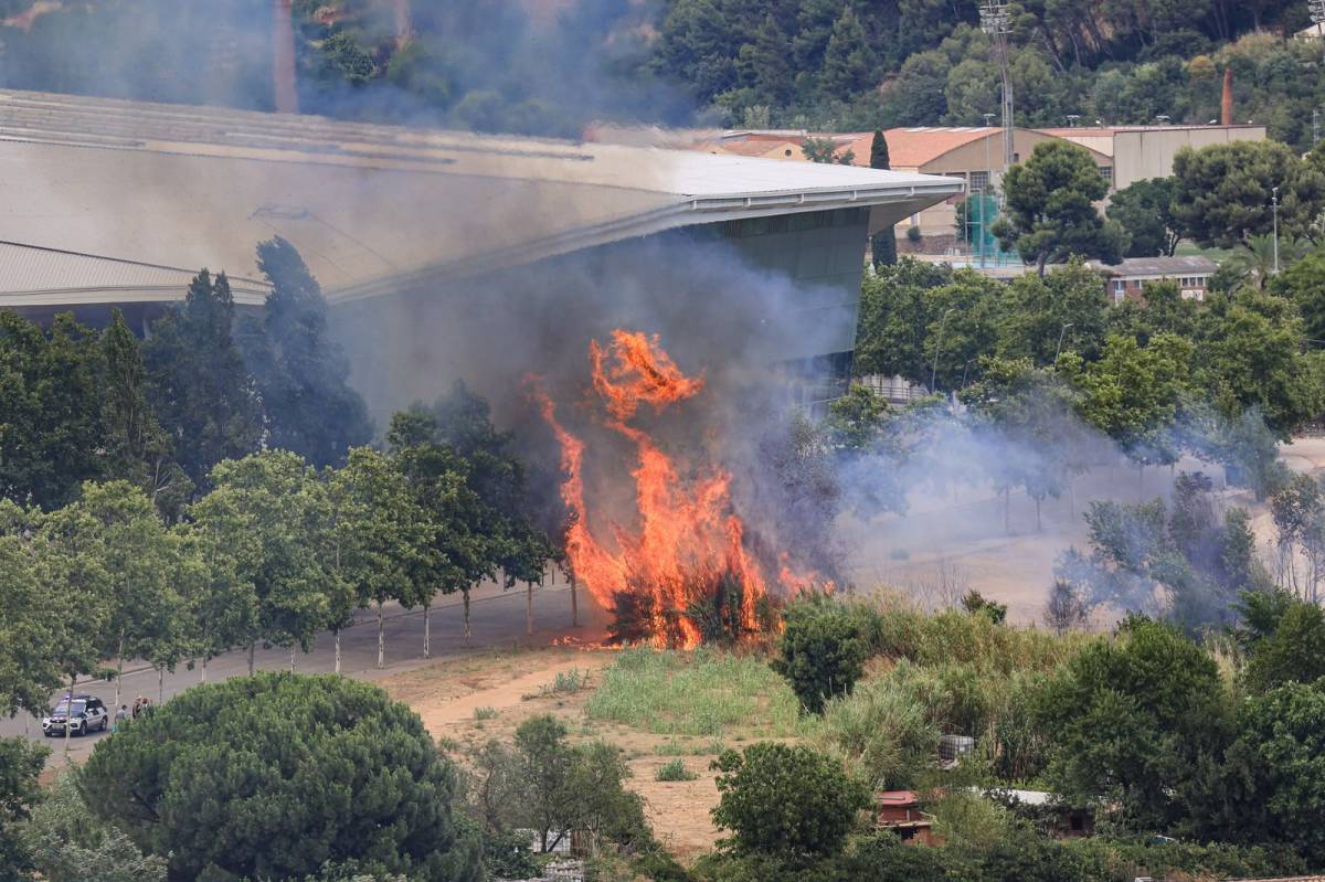Incendi de vegetació al costat de la Bassa de Sant Oleguer - Víctor Castillo Incendi de vegetació al costat de la Bassa de Sant Oleguer
