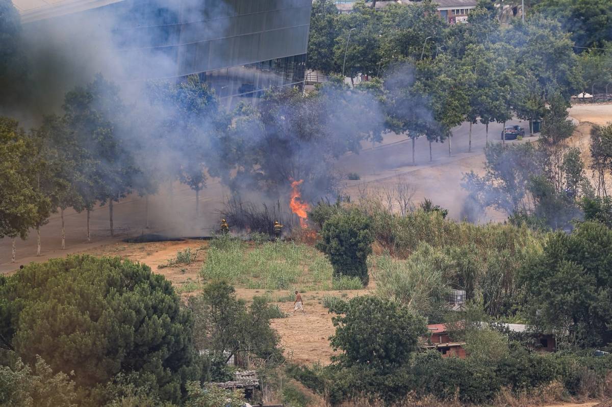 Incendi de vegetació al costat de la Bassa de Sant Oleguer - Víctor Castillo Incendi de vegetació al costat de la Bassa de Sant Oleguer