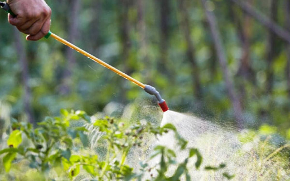 Tractaments amb herbicides a les subestacions elèctriques de Manresa i el Congost