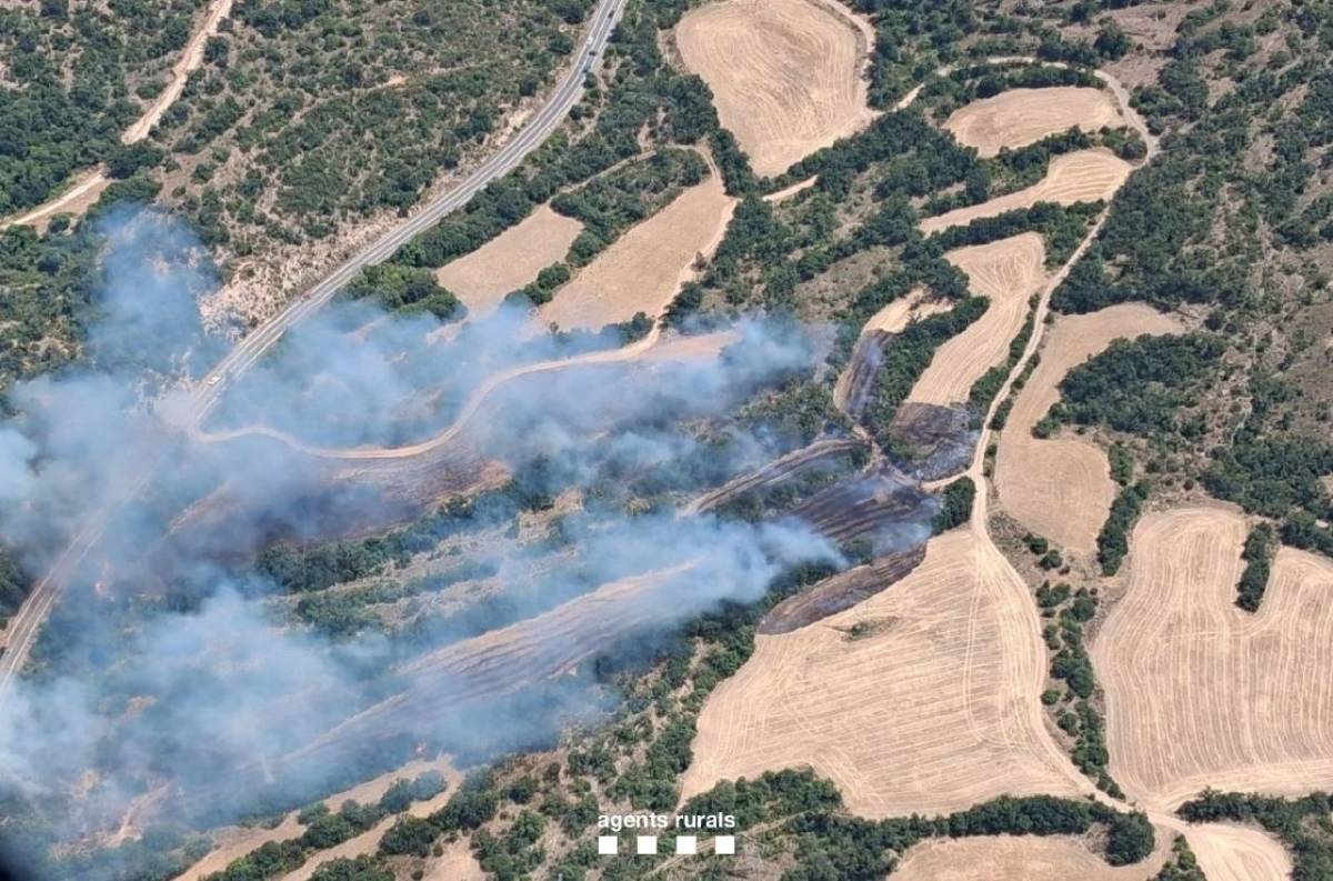 Confinen un nucli de població per un incendi forestal a Camarasa, a la Noguera
