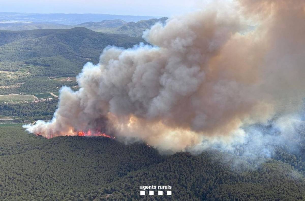 Tercer incendi en pocs dies a la mateixa zona de l'Alt Camp