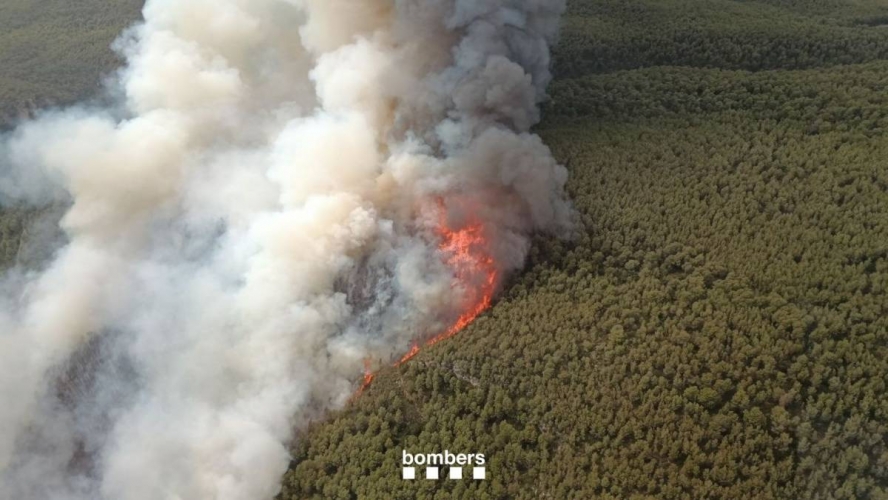 Confinen cinc municipis per un incendi a Aiguamúrcia que avança empès per la marinada