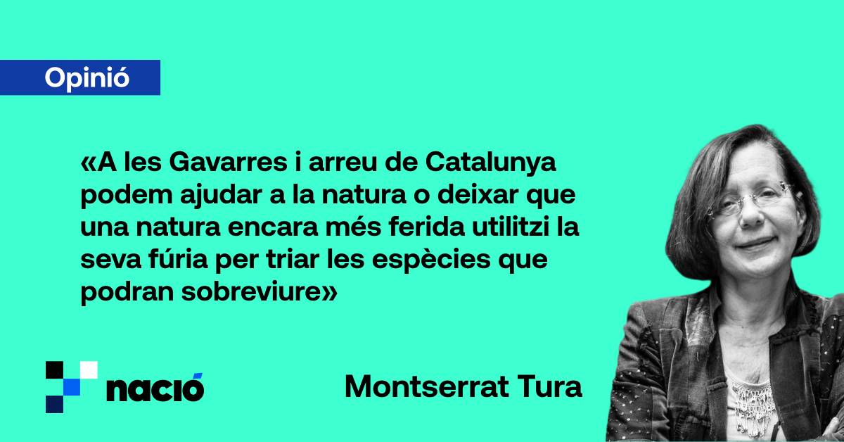 Foc forestal: aprendre i desaprendre