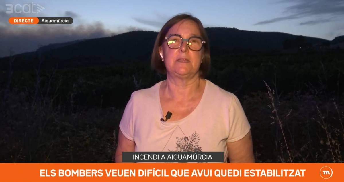 Els «Telenotícies» lideren les audiències després d'un cap de setmana dominat pel Mundial