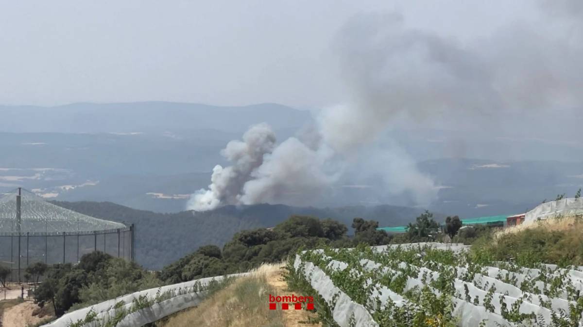 Els Bombers despleguen recursos terrestres i aeris per sufocar un incendi de vegetació a Lladurs