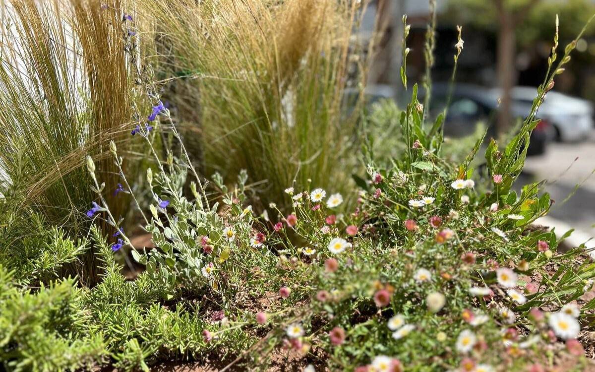 Amposta licita un nou contracte de jardineria de 3,27 milions d'euros