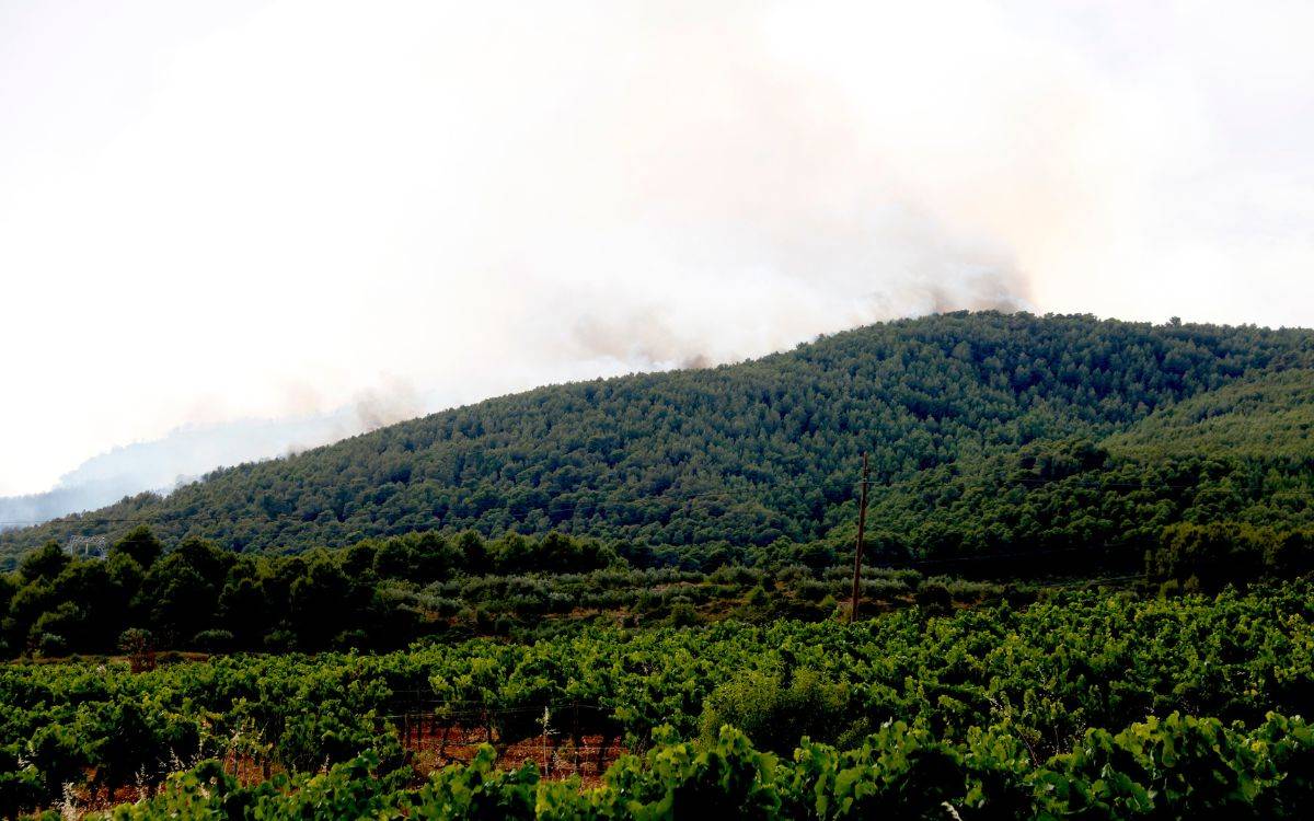 Els Bombers estabilitzen el 95% del perímetre de l'incendi d'Aiguamúrcia i treballen per evitar revifalles