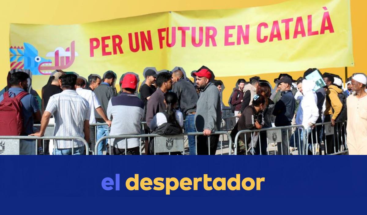 Activar el cercle virtuós pel català