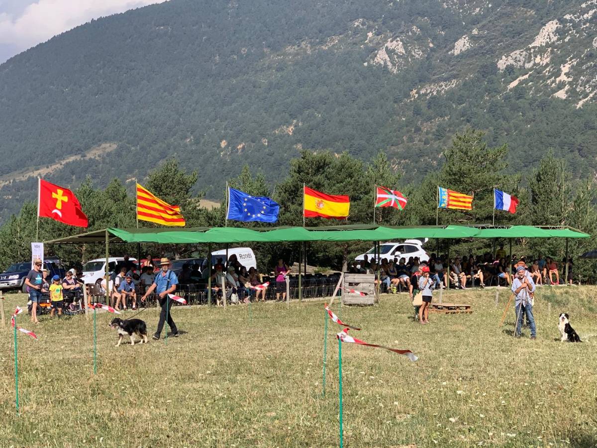 El XIX Concurs de Gossos d'Atura d'Odèn consolida gairebé dues dècades de promoció de cura de bestiar a l’aire lliure, el territori i el món rural