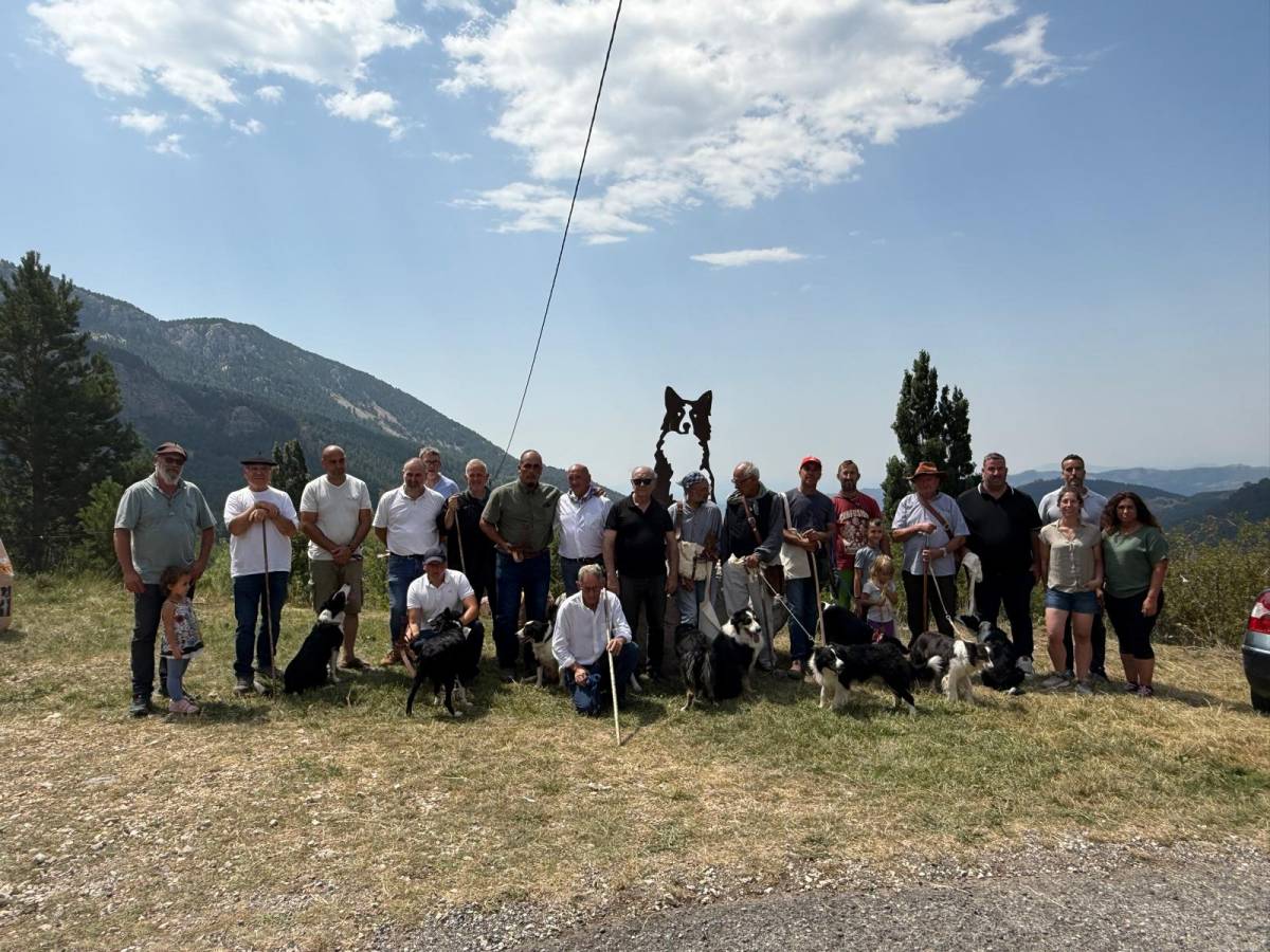 Concurs de Gossos d`atura d`Odèn - Concurs de Gossos d`atura d`Odèn