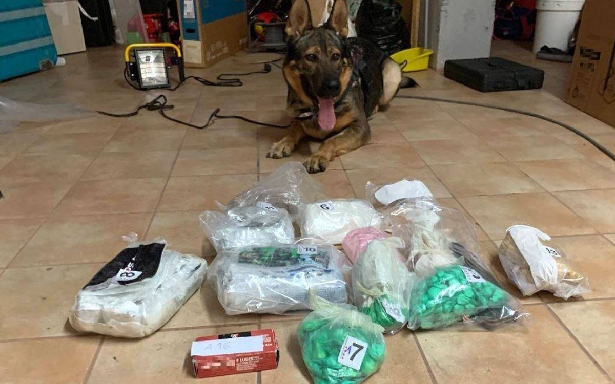 Detenen dos individus al Baix Camp per traficar amb cocaïna i altres substàncies