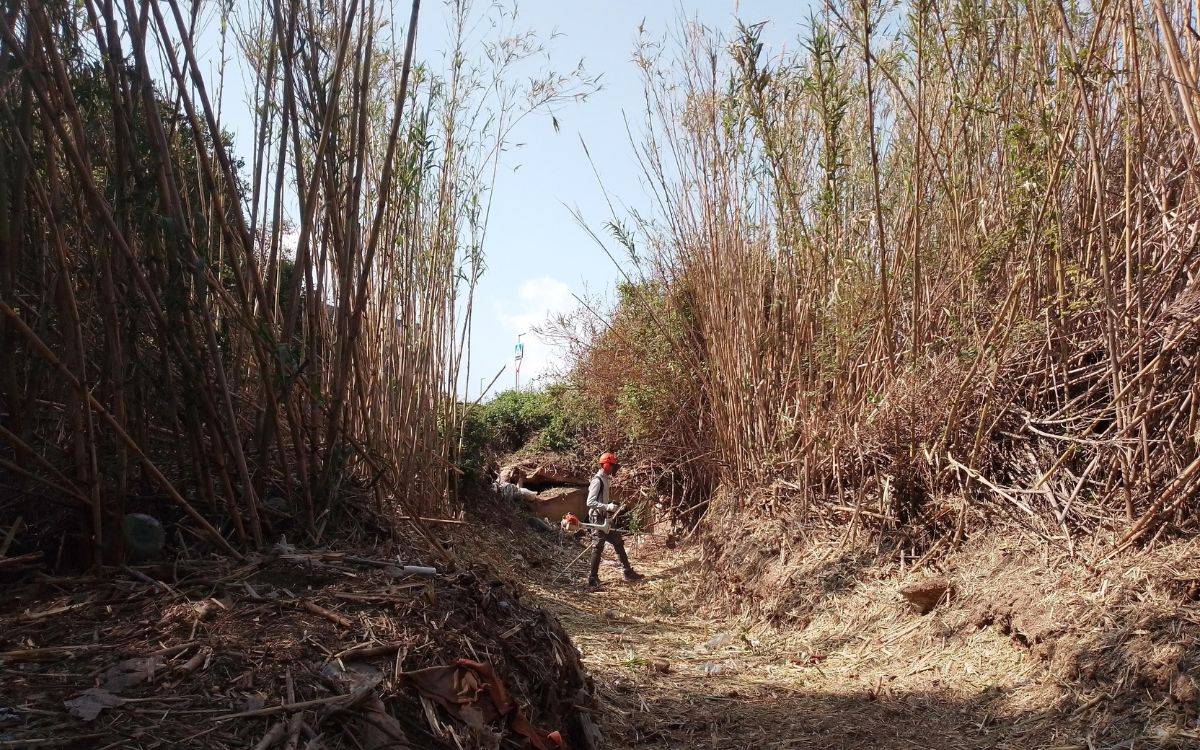 L'Ajuntament de Reus executa millores mediambientals als barrancs del Mas de Gassot i del Molí