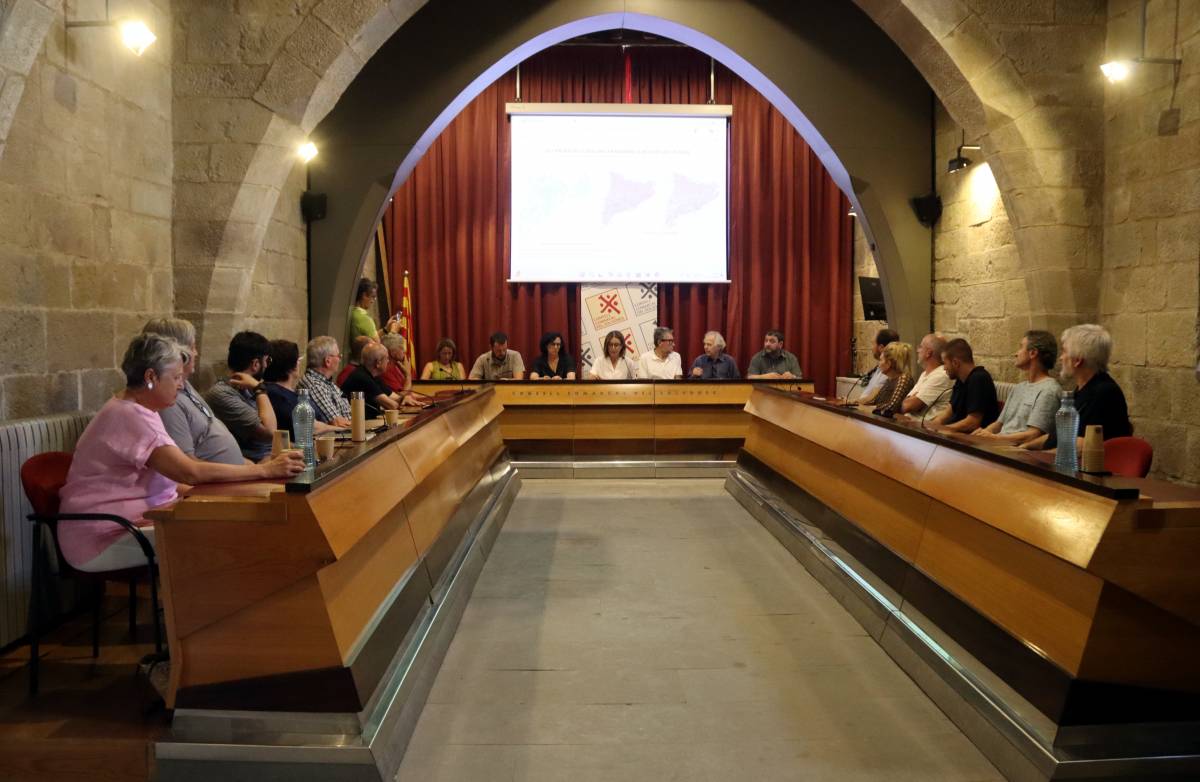 El document afecta unes 2.600 hectàrees de la comarca entre energia eòlica i fotovoltaica - ACN El document afecta unes 2.600 hectàrees de la comarca entre energia eòlica i fotovoltaica