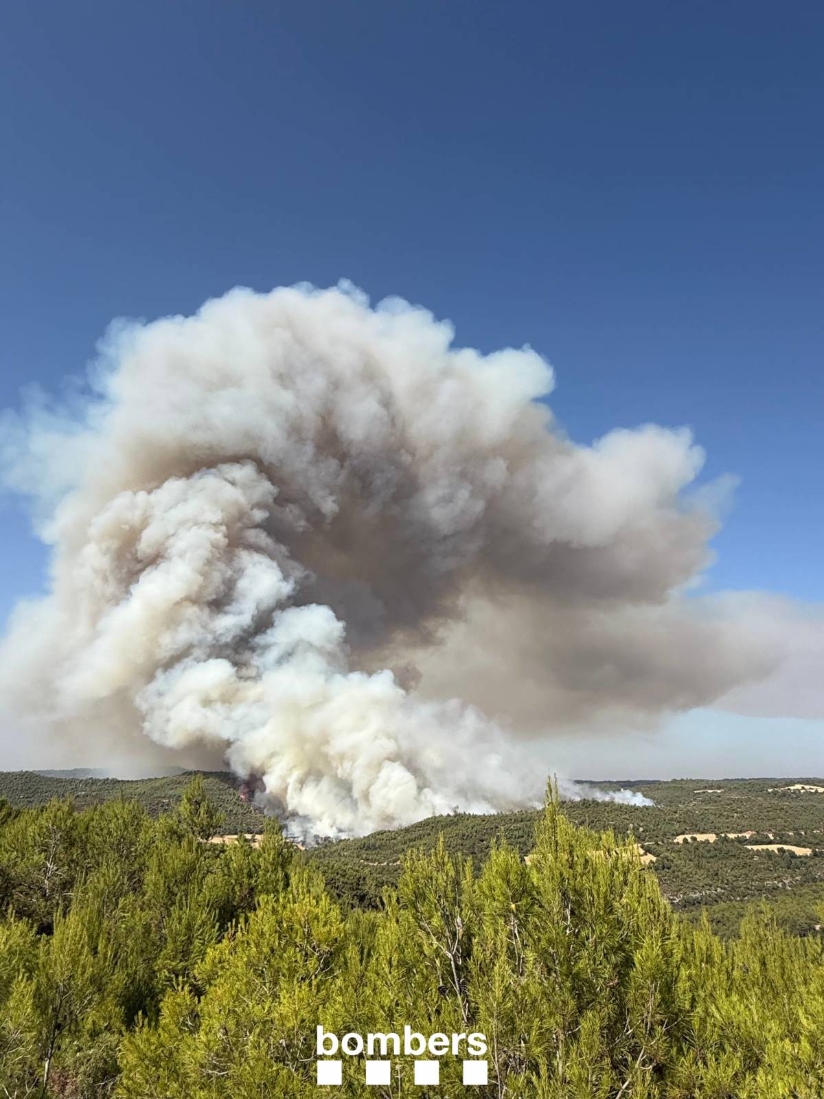 Un nou incendi a l'Anoia obliga els Bombers a desplegar un ampli dispositiu