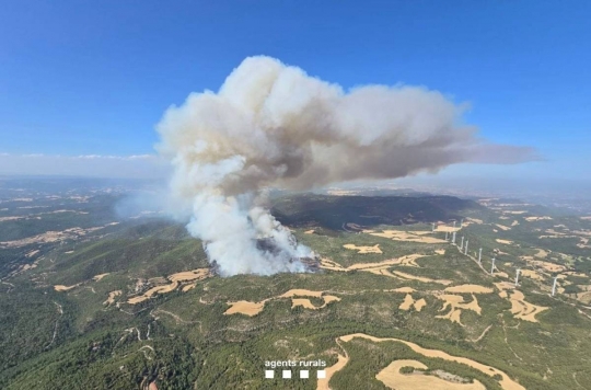 Un incendi al límit de l'Anoia i el Bages ja ha cremat 27 hectàrees
