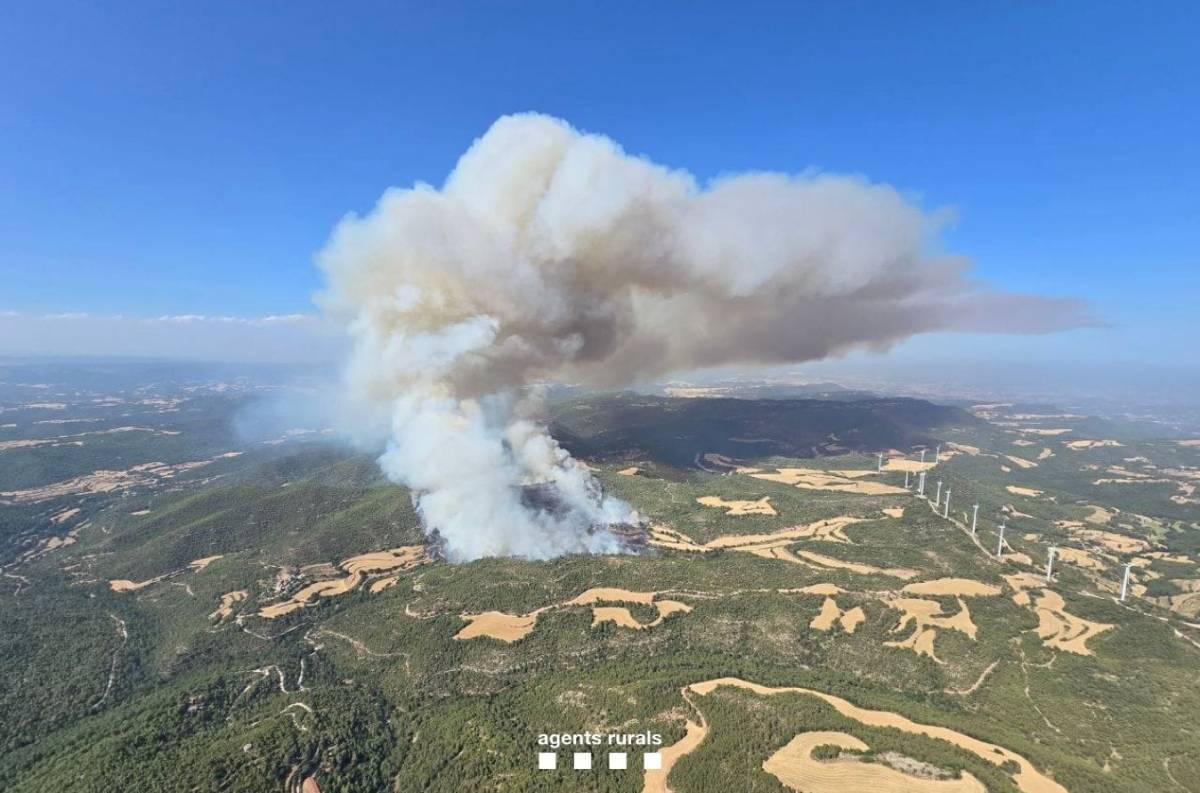 Un incendi al límit de l'Anoia i el Bages ja ha cremat 27 hectàrees