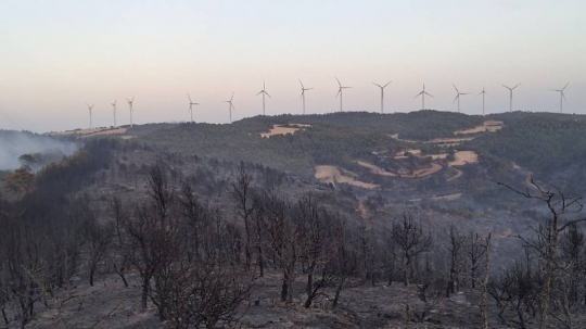 Estabilitzat l'incendi de Rubió després de cremar 47 hectàrees