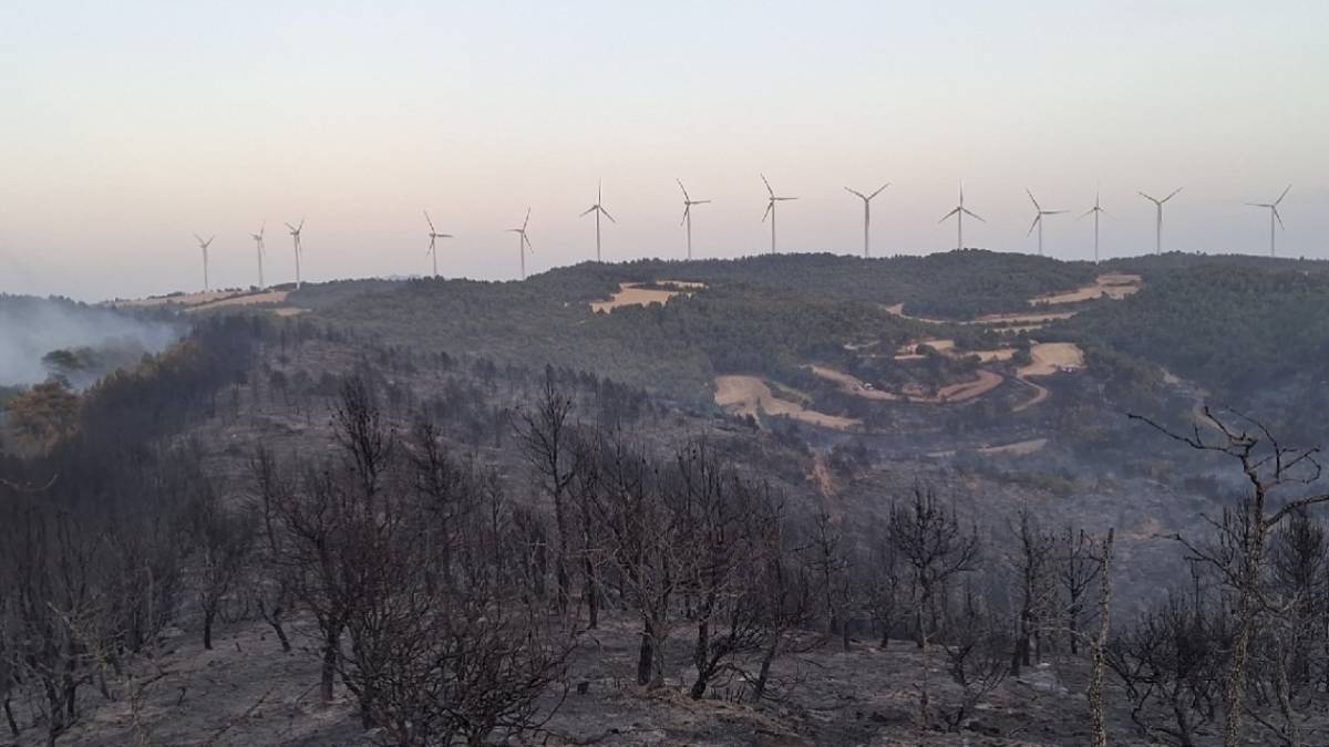 Estabilitzat l'incendi de Rubió després de cremar 47 hectàrees