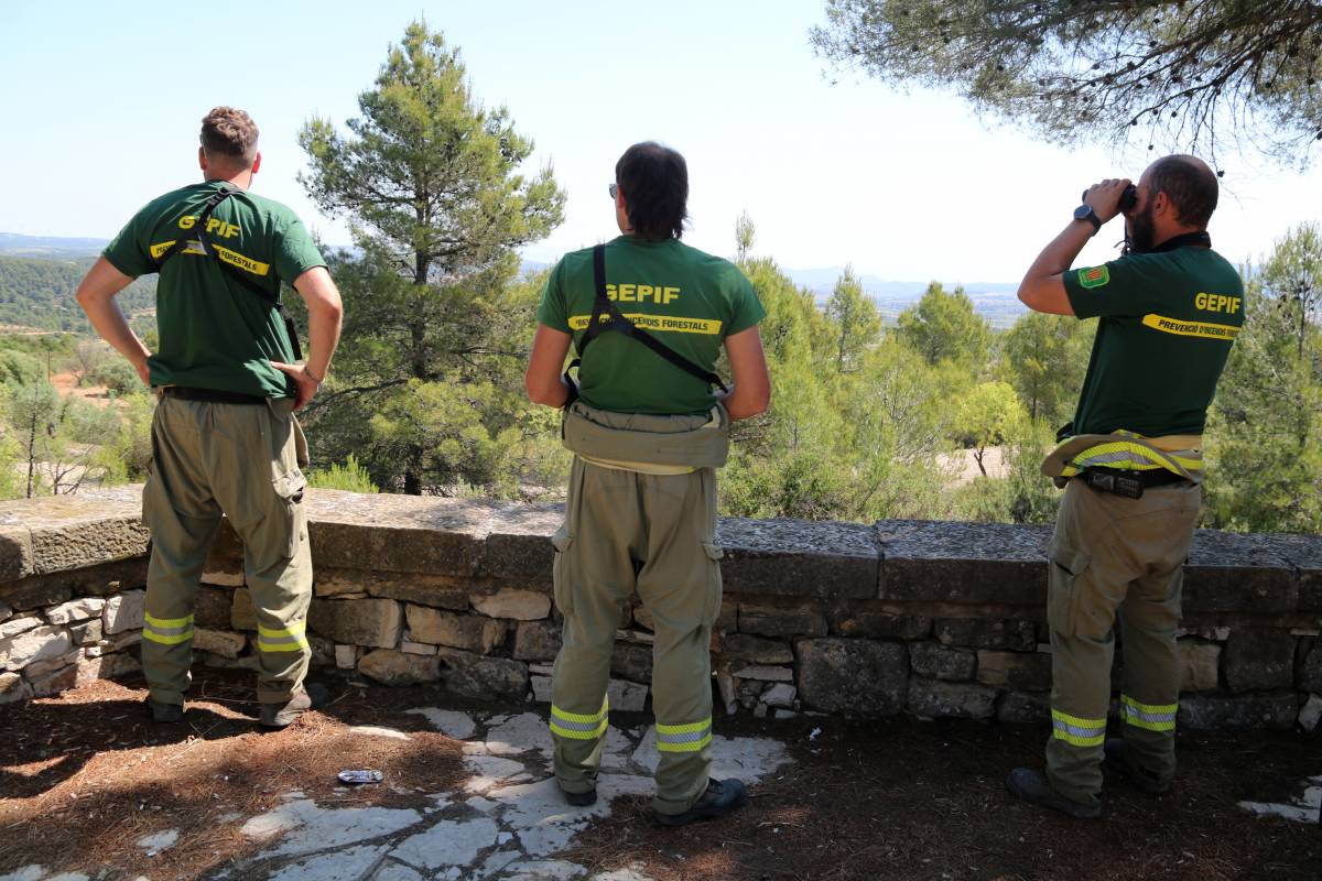 El pic de la tercera onada de calor dispara el risc d'incendis