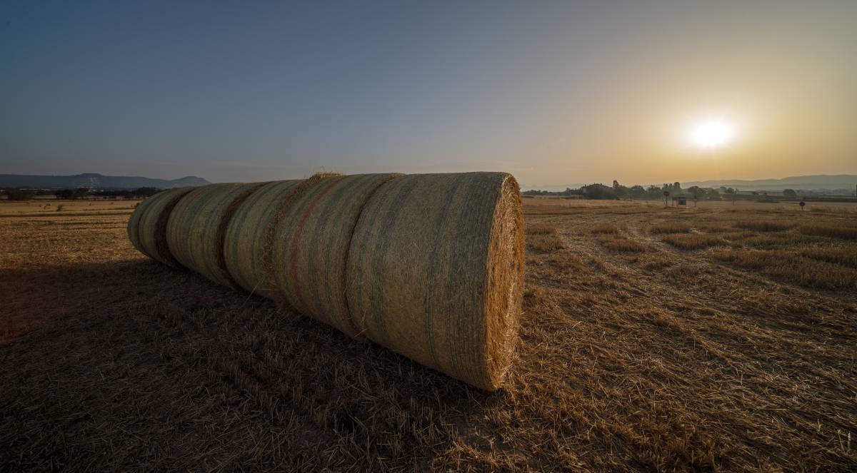Tot Catalunya en alerta per la calor