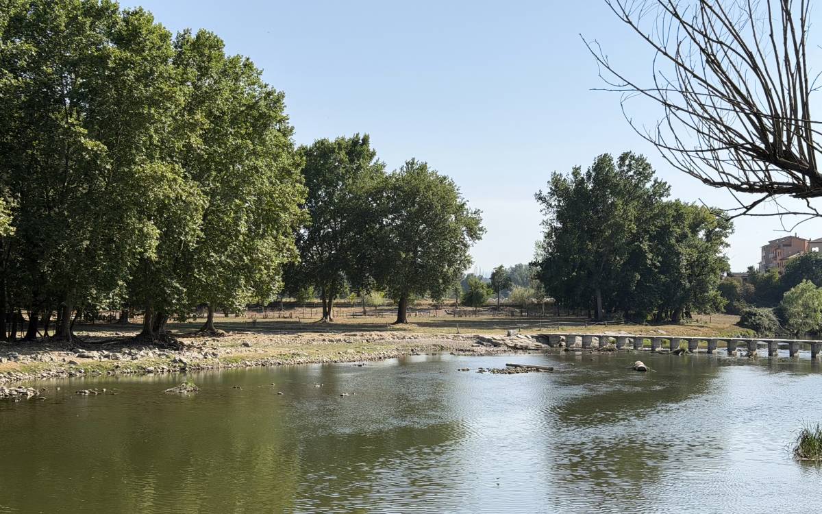 La zona de la Devesa de Manlleu és on han perdut la vida els dos germans bessons d`11 anys. - L.Busquets/ACN La zona de la Devesa de Manlleu és on han perdut la vida els dos germans bessons d`11 anys.