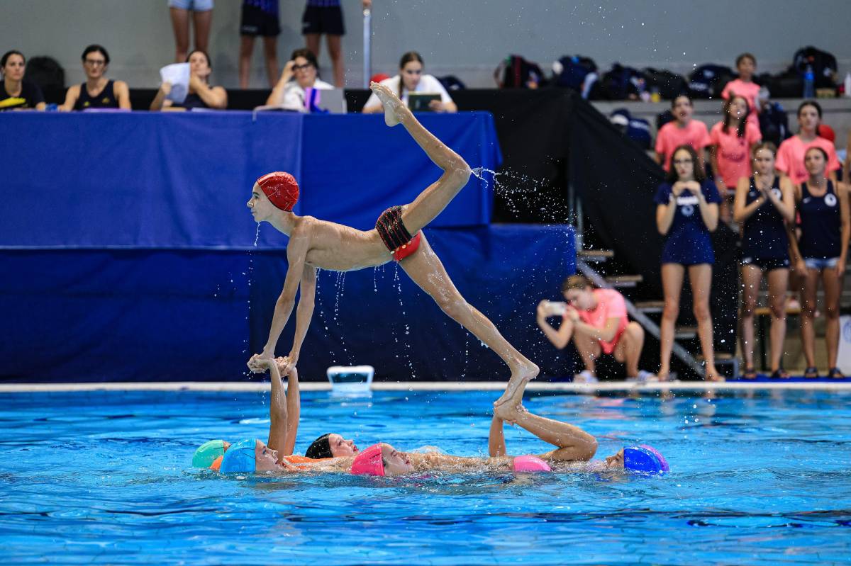 campionat d`artística - campionat d`artística