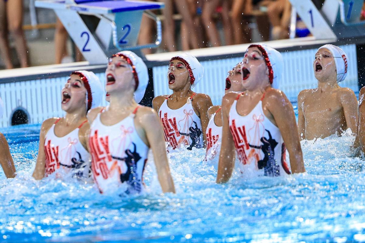 campionat d`artística - campionat d`artística